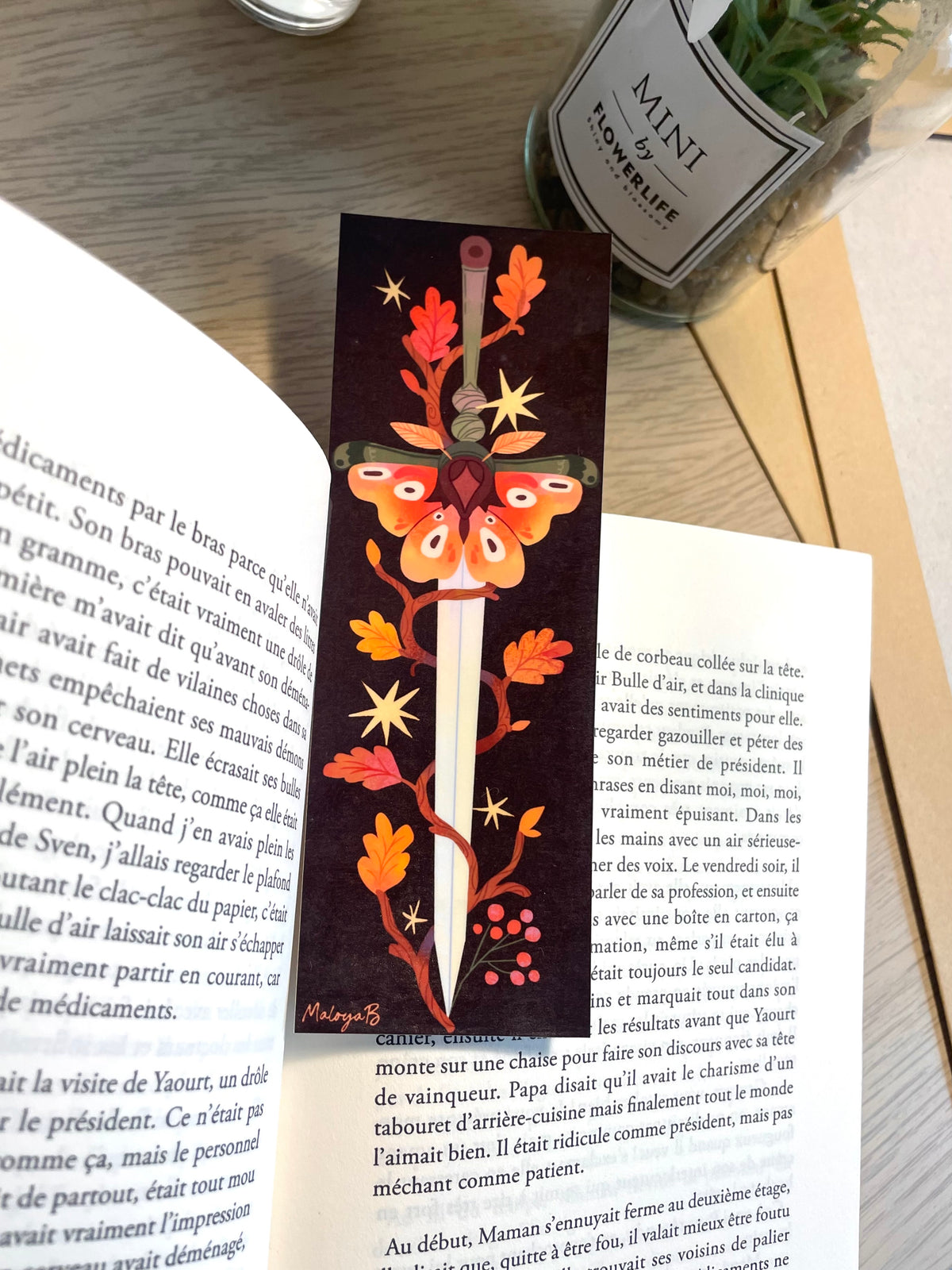 Marques pages d’automne 🦊🗡️