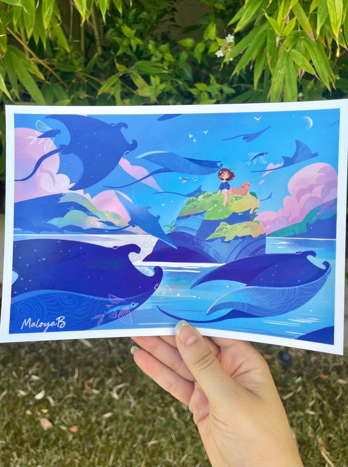 Print raies mantas