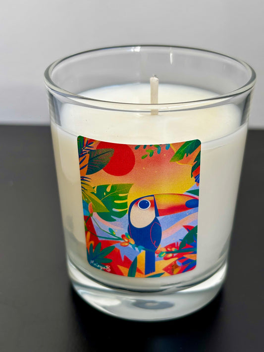 Bougie Toucan 180 gr